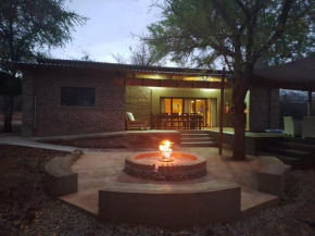 The Hedgehog at Marloth Park
